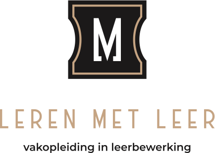 Leren met Leer